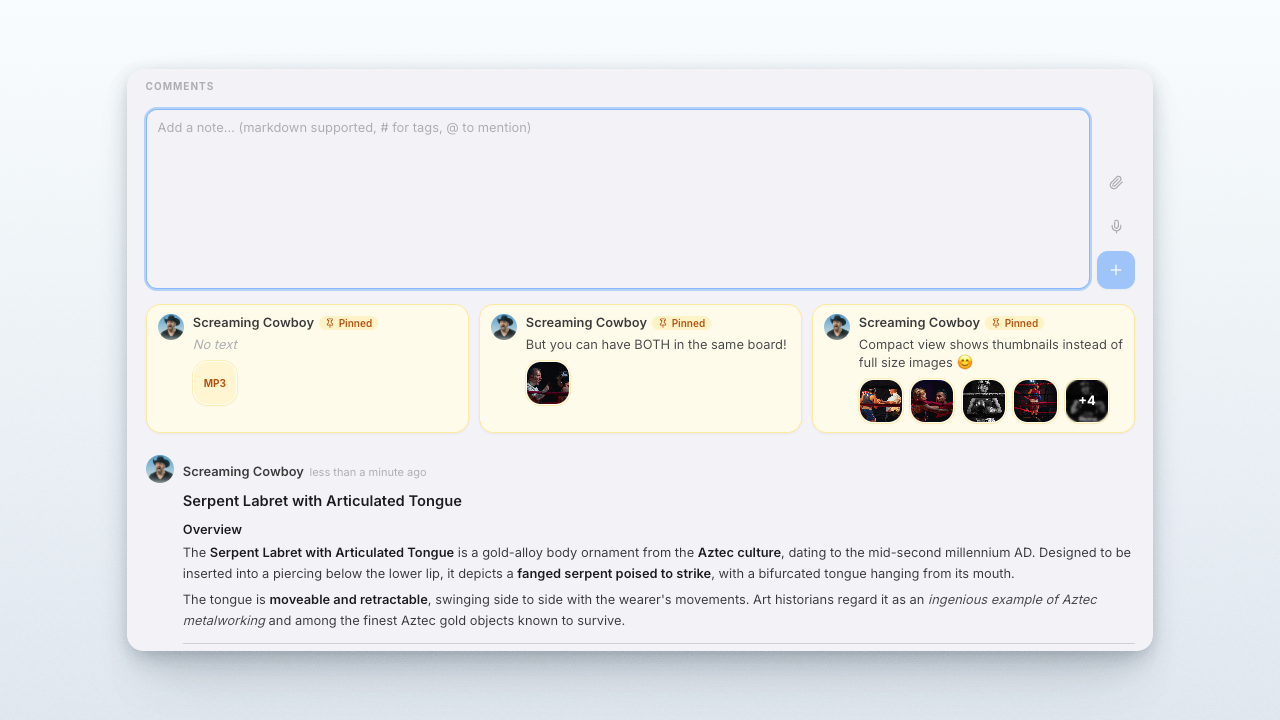 Multiple pinned notes visible above a Picrowd note thread