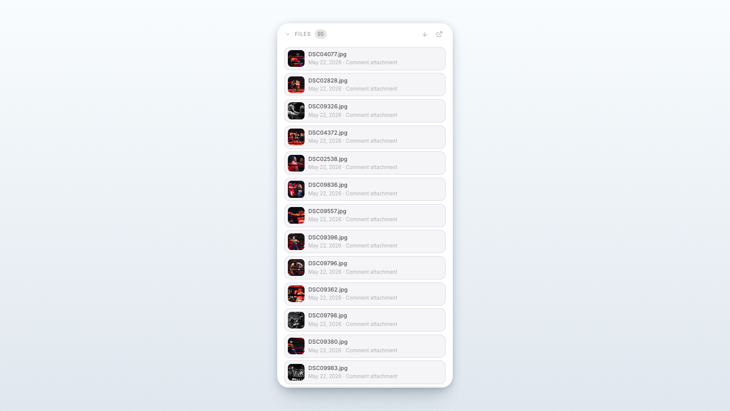 Files section in a record showing uploaded images as compact file cards